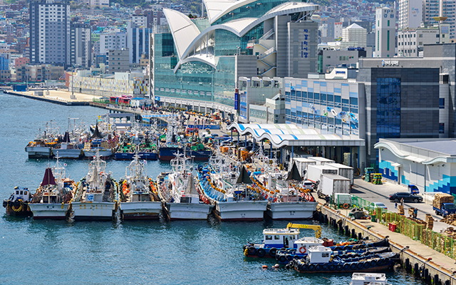 20241022105258_XmRawkSC.jpg_carousel_부산관광버스_뉴부산관광,부산관광버스,부산25인승버스,부산16인승버스,부산25인승버스