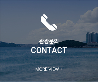 뉴부산관광__